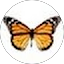 Joe Park Avatar